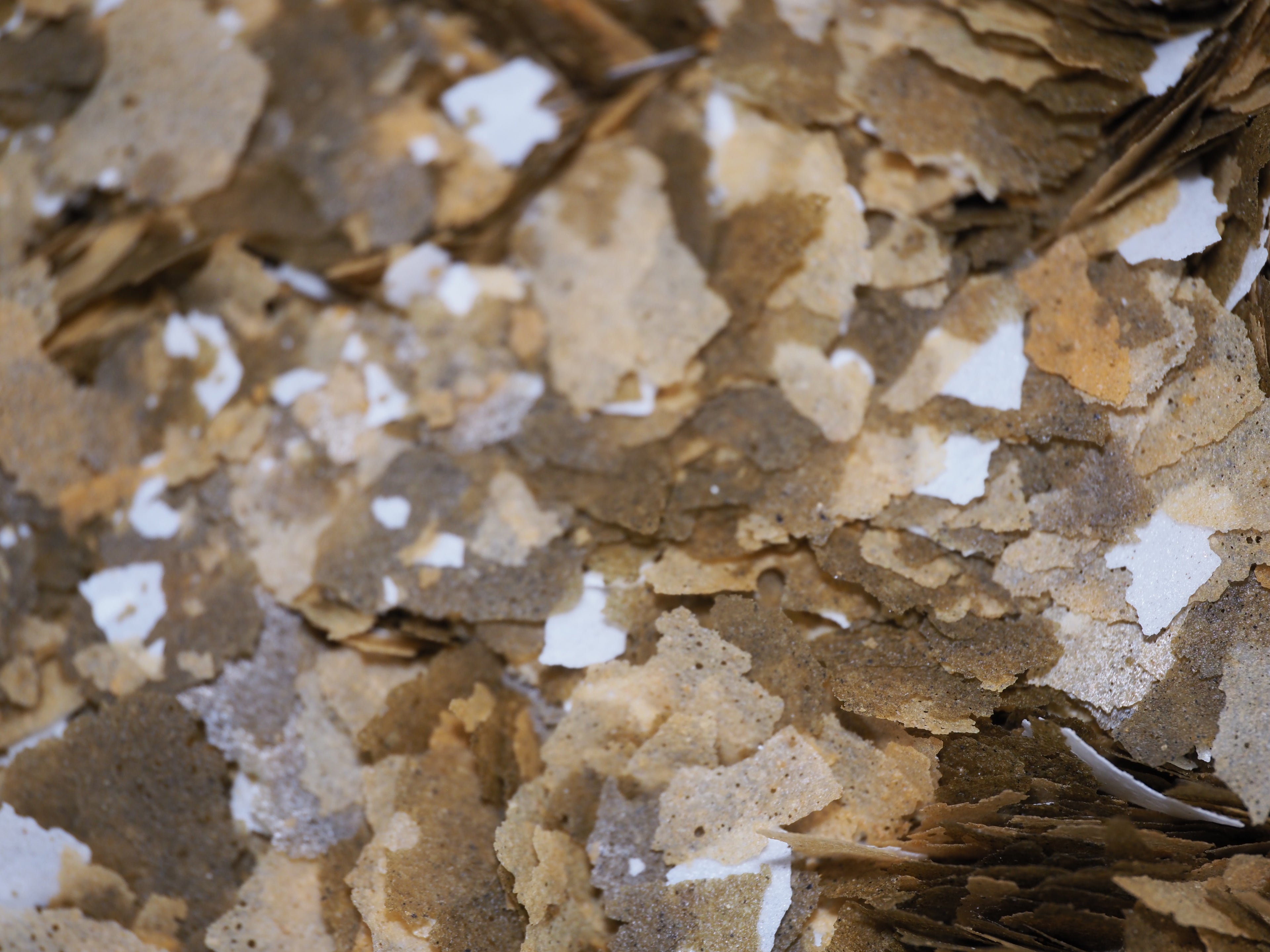 Fish Flakes