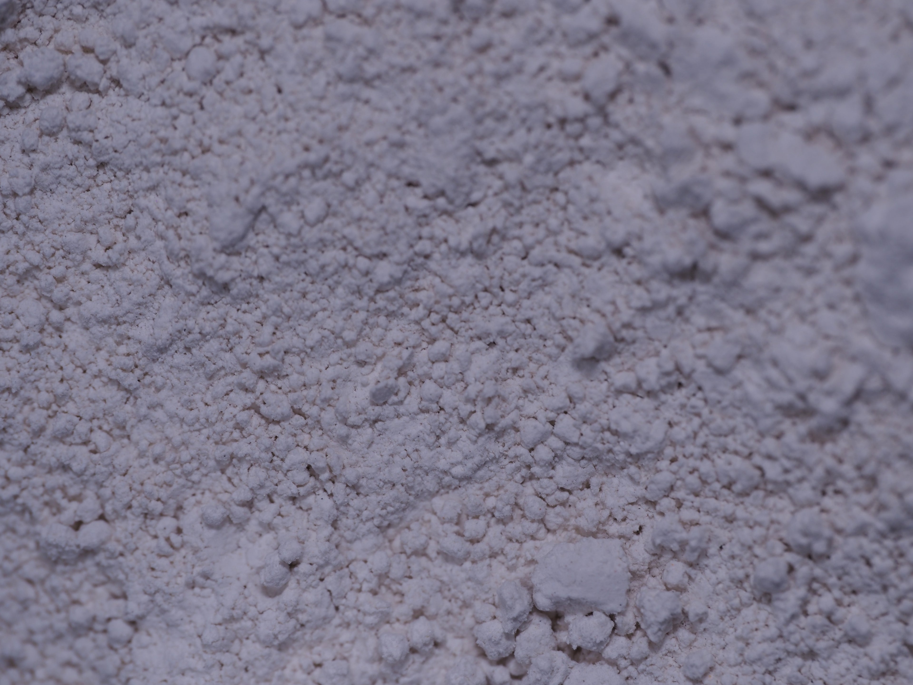 Diatomaceous Earth - 4oz