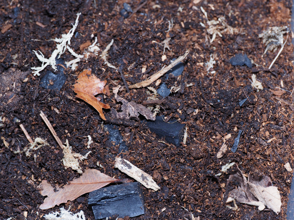 Isopod Substrate