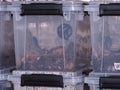 19qt Gasket Seal Bin with Ventilation