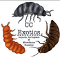 CC Exotics - Home
