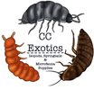 CC Exotics - Home